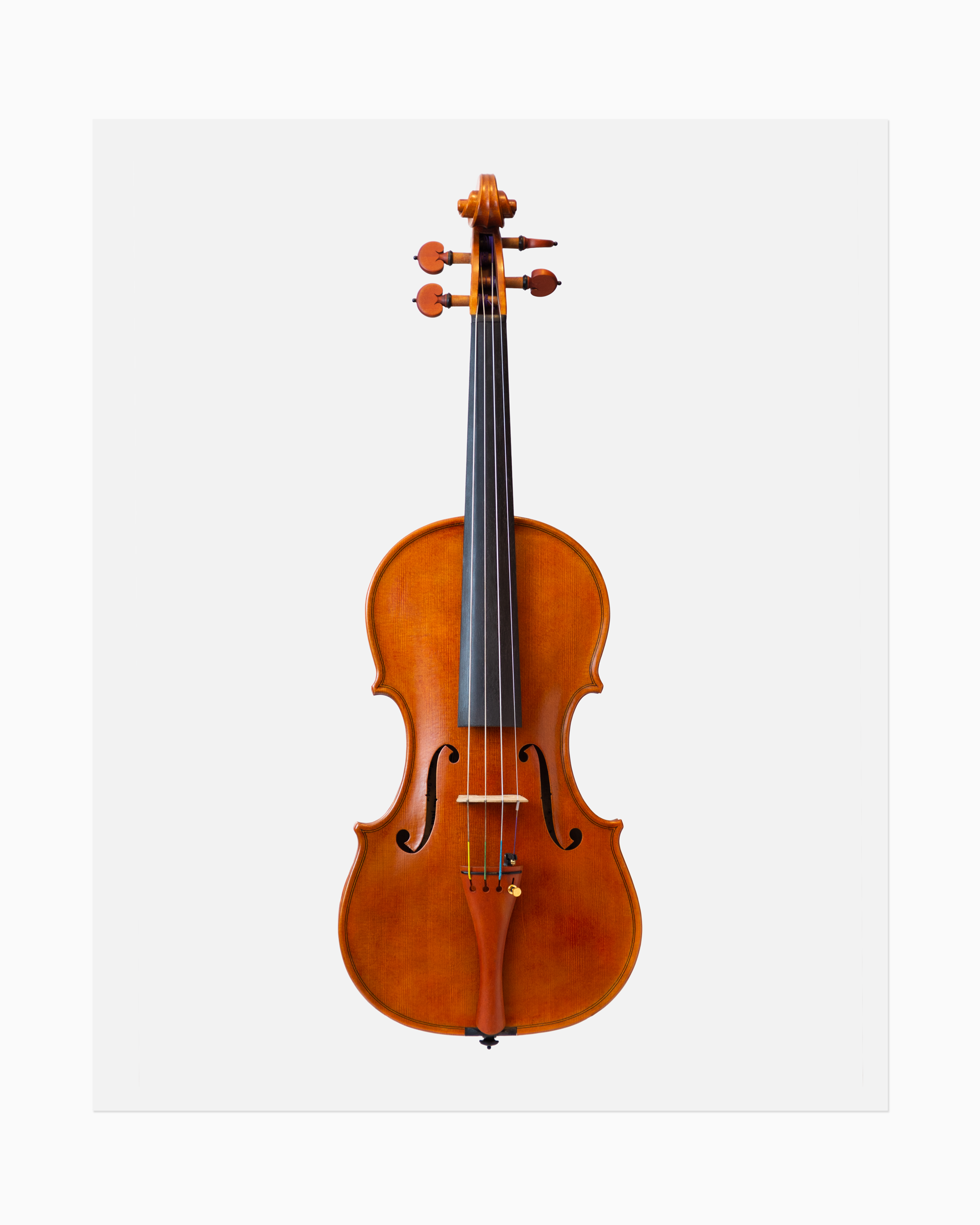Violin front full body in color